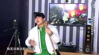 林更新唱歌花絮,歌声绕梁，演绎别样魅力